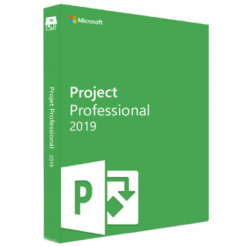 Microsoft Project 2019 Professionnel